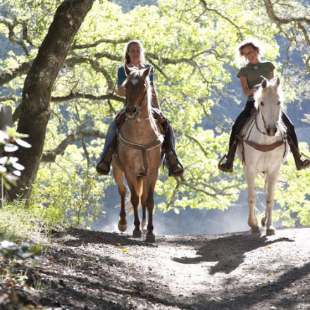 Horse Trekking