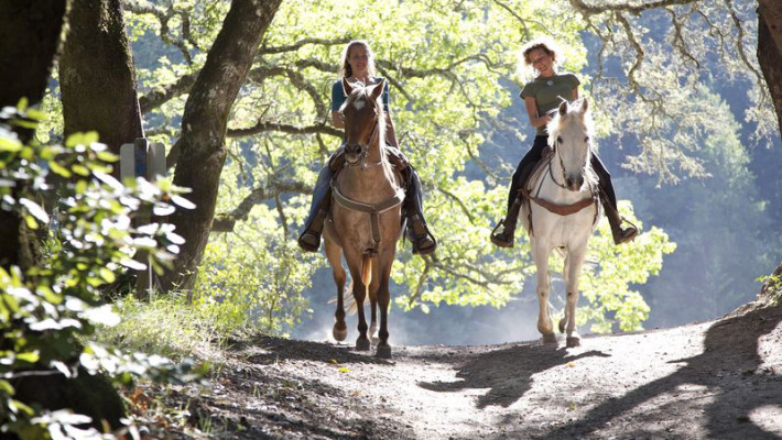 Horse Trekking